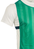 Training Mesh Bib Senior (Set of 10)